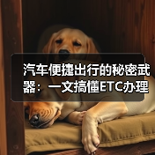 汽车便捷出行的秘密武器:一文搞懂ETC办理流程(图4) 汽车便捷出行的秘密武器:一文搞懂ETC办理流程(图4)