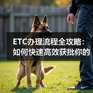 ETC办理流程全攻略:如何快速高效获批你的电子收费卡(图3) ETC办理流程全攻略:如何快速高效获批你的电子收费卡(图3)