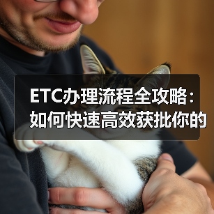 ETC办理流程全攻略:如何快速高效获批你的电子收费卡(图4) ETC办理流程全攻略:如何快速高效获批你的电子收费卡(图4)
