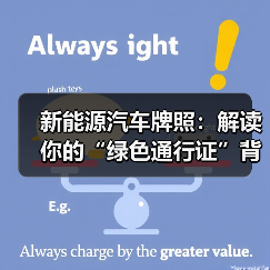 新能源汽车牌照：解读你的“绿色通行证”背后的秘密（图4）