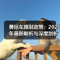 黄标车限制政策:2026年最新解析与深度剖析(图1) 黄标车限制政策:2026年最新解析与深度剖析(图1)