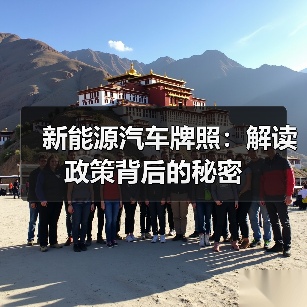 新能源汽车牌照:解读政策背后的秘密(图2) 新能源汽车牌照:解读政策背后的秘密(图2)