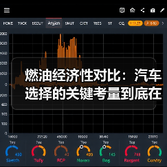 燃油经济性对比:汽车选择的关键考量到底在哪?(图4) 燃油经济性对比:汽车选择的关键考量到底在哪?(图4)
