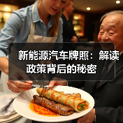 新能源汽车牌照:解读政策背后的秘密(图3) 新能源汽车牌照:解读政策背后的秘密(图3)