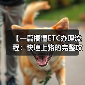 【一篇搞懂ETC办理流程：快速上路的完整攻略】（图3）