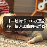 【一篇搞懂ETC办理流程：快速上路的完整攻略】（图2）