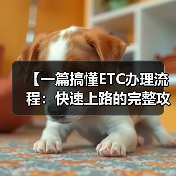 【一篇搞懂ETC办理流程：快速上路的完整攻略】（图4）