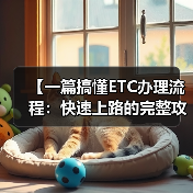 【一篇搞懂ETC办理流程：快速上路的完整攻略】（图1）