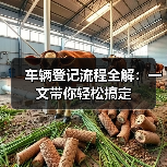 车辆登记流程全解:一文带你轻松搞定(图4) 车辆登记流程全解:一文带你轻松搞定(图4)