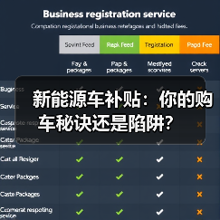 新能源车补贴：你的购车秘诀还是陷阱？（图4）