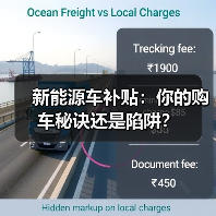 新能源车补贴：你的购车秘诀还是陷阱？（图1）