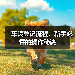 车辆登记流程:新手必懂的操作秘诀(图4) 车辆登记流程:新手必懂的操作秘诀(图4)