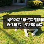 揭秘2026年汽车品牌可靠性排名:实测最靠谱的品牌全解析(图3) 揭秘2026年汽车品牌可靠性排名:实测最靠谱的品牌全解析(图3)