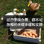 过户手续办理:你不可忽视的关键步骤和实操指南(图1) 过户手续办理:你不可忽视的关键步骤和实操指南(图1)
