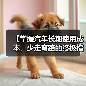 【掌握汽车长期使用成本,少走弯路的终极指南】(图3) 【掌握汽车长期使用成本,少走弯路的终极指南】(图3)