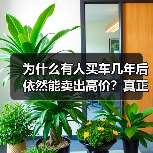 为什么有人买车几年后依然能卖出高价？真正的秘密在于“保值率影响因素”的深层次揭秘！掌握这些影响因素，不仅让你买车更聪明，还能在未来的二手市场中占得先机。本文将拆（图4）