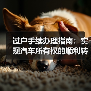 过户手续办理指南:实现汽车所有权的顺利转移(图1) 过户手续办理指南:实现汽车所有权的顺利转移(图1)