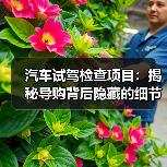 汽车试驾检查项目:揭秘导购背后隐藏的细节技巧(图4) 汽车试驾检查项目:揭秘导购背后隐藏的细节技巧(图4)
