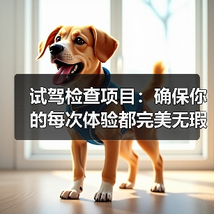 试驾检查项目:确保你的每次体验都完美无瑕(图2) 试驾检查项目:确保你的每次体验都完美无瑕(图2)