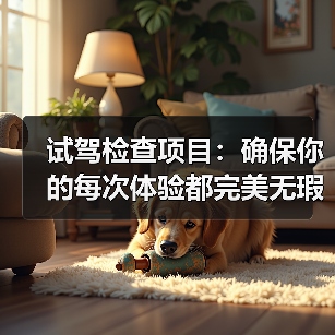 试驾检查项目:确保你的每次体验都完美无瑕(图4) 试驾检查项目:确保你的每次体验都完美无瑕(图4)