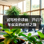试驾检查项目:开启汽车买卖的必经之路(图2) 试驾检查项目:开启汽车买卖的必经之路(图2)