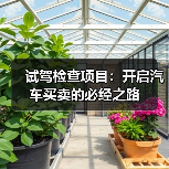 试驾检查项目:开启汽车买卖的必经之路(图1) 试驾检查项目:开启汽车买卖的必经之路(图1)