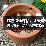 底盘锈蚀评估:让爱车焕发新生命的秘密武器(图2) 底盘锈蚀评估:让爱车焕发新生命的秘密武器(图2)