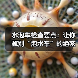 水泡车检查要点：让你甄别“泡水车”的绝密指南（图4）