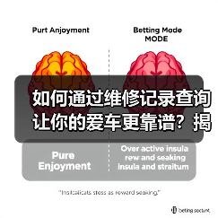 如何通过维修记录查询让你的爱车更靠谱？揭开汽车后顾无忧的秘密（图3）