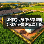 如何通过维修记录查询让你的爱车更靠谱？揭开汽车后顾无忧的秘密（图2）