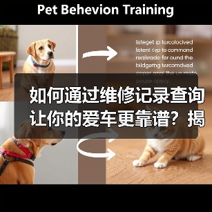 如何通过维修记录查询让你的爱车更靠谱？揭开汽车后顾无忧的秘密（图1）