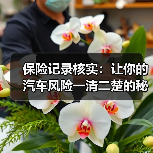 保险记录核实:让你的汽车风险一清二楚的秘密武器(图1) 保险记录核实:让你的汽车风险一清二楚的秘密武器(图1)