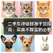 二手车评估标准干货指南:买卖不踩雷的必看秘籍(图4) 二手车评估标准干货指南:买卖不踩雷的必看秘籍(图4)
