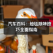 汽车百科:地毯除味技巧全面指南(图2) 汽车百科:地毯除味技巧全面指南(图2)