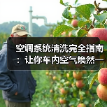 空调系统清洗完全指南:让你车内空气焕然一新(图2) 空调系统清洗完全指南:让你车内空气焕然一新(图2)