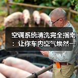 空调系统清洗完全指南:让你车内空气焕然一新(图4) 空调系统清洗完全指南:让你车内空气焕然一新(图4)