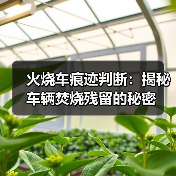 火烧车痕迹判断:揭秘车辆焚烧残留的秘密(图3) 火烧车痕迹判断:揭秘车辆焚烧残留的秘密(图3)