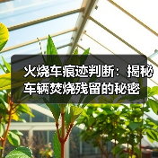 火烧车痕迹判断:揭秘车辆焚烧残留的秘密(图4) 火烧车痕迹判断:揭秘车辆焚烧残留的秘密(图4)