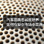 汽车品牌忠诚度培养：如何在复杂市场中赢得用户信任（图3）