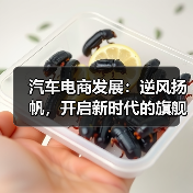 汽车电商发展：逆风扬帆，开启新时代的旗舰路径（图2）