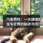 汽车百科:一文搞懂报废车处理的秘密与技巧(图2) 汽车百科:一文搞懂报废车处理的秘密与技巧(图2)