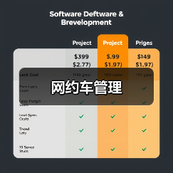 网约车管理(图3) 网约车管理(图3)
