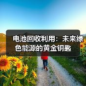 电池回收利用:未来绿色能源的黄金钥匙(图2) 电池回收利用:未来绿色能源的黄金钥匙(图2)